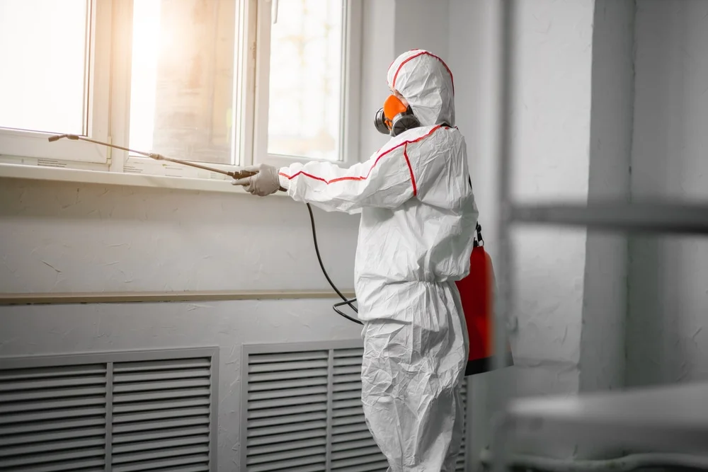 Professional mold remediation services in Valley City, ND